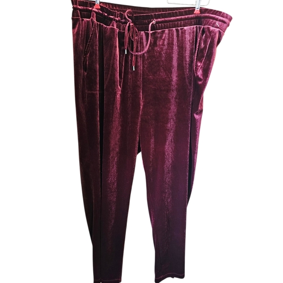 Torrid 4 Burgundy Wine Pull On Velvet Joggers Nwt - Picture 3 of 10